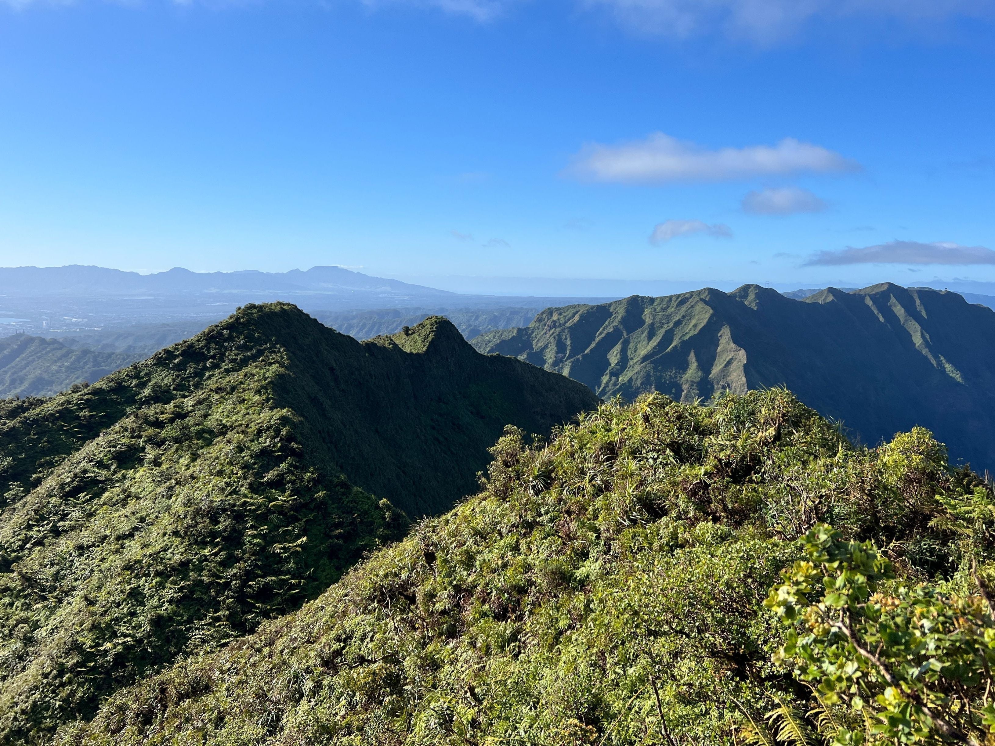 The Mālama Movement